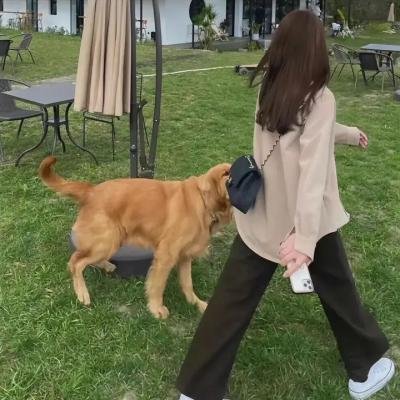 歌声欢唱的树