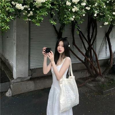 鬣狗之城